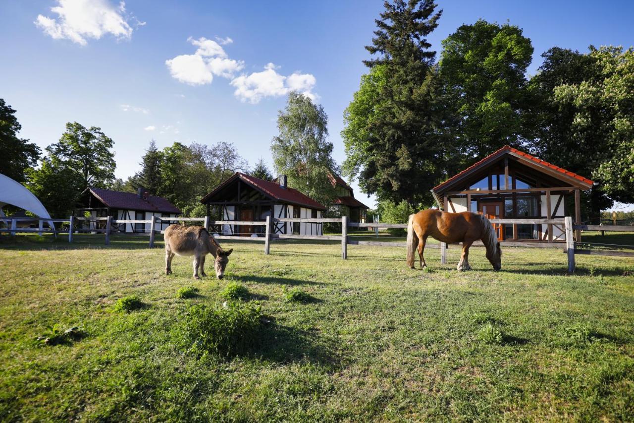 Villa Pferdehof Schorfheide Esterno foto
