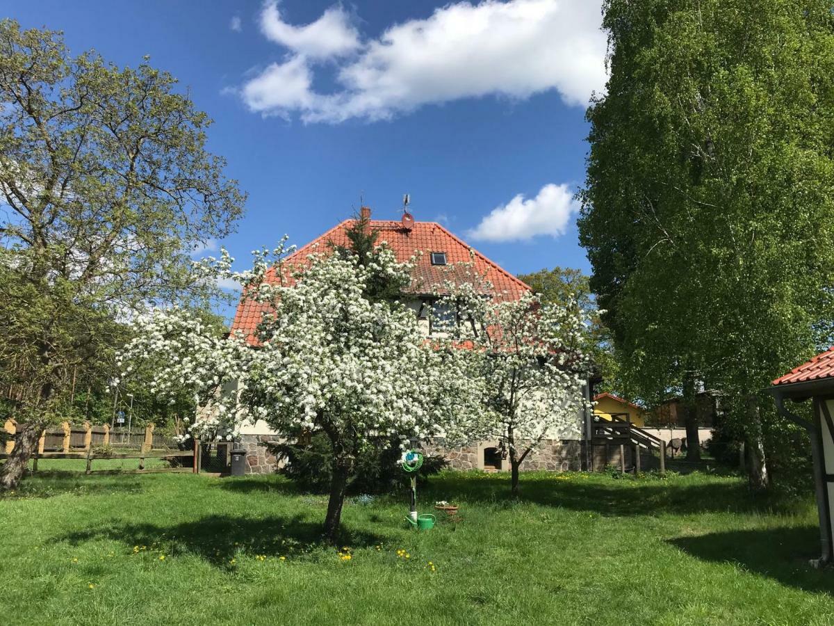 Villa Pferdehof Schorfheide Esterno foto